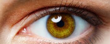Iridology